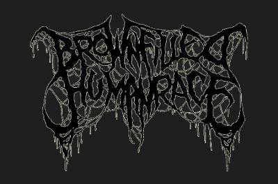 logo Brownfilled Human Race